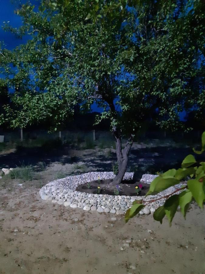 Yurt Camp Meiman Ordo Bokonbayevo 외부 사진